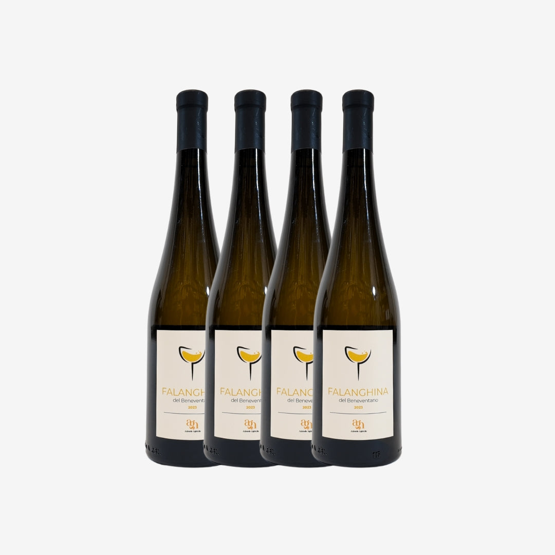 4 Vino Bianco Falanghina del Beneventano