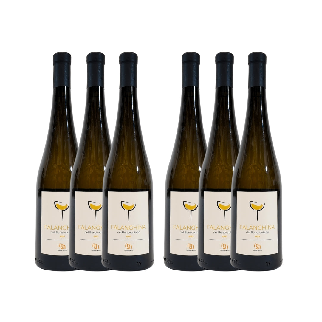 6 Vino Bianco Falanghina del Beneventano