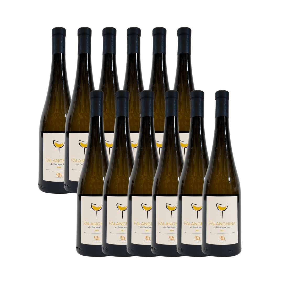 12 Vino Bianco Falanghina del Beneventano